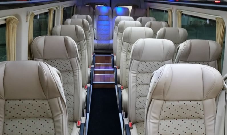 Poland: Coach company in Lesser Poland in Lesser Poland and Olkusz